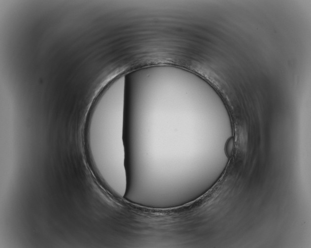 X0000088480390200705221005