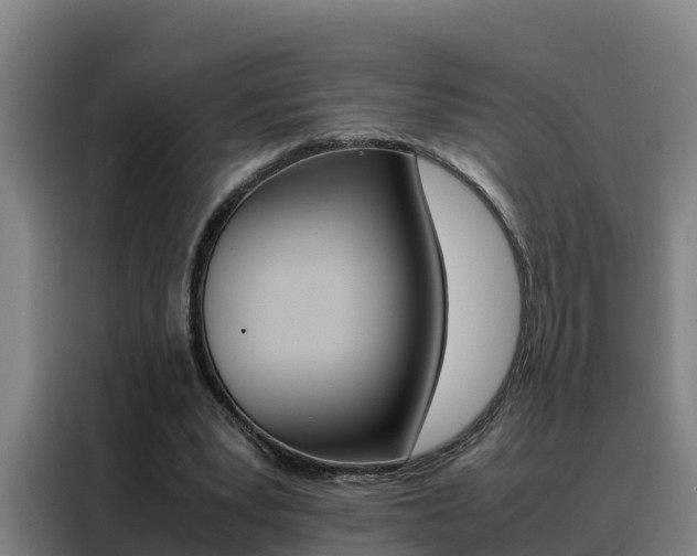 X0000088480391200705221005