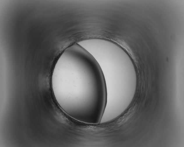 X0000088480393200705221005