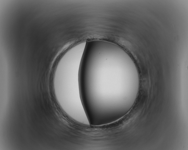 X0000088480395200705221005