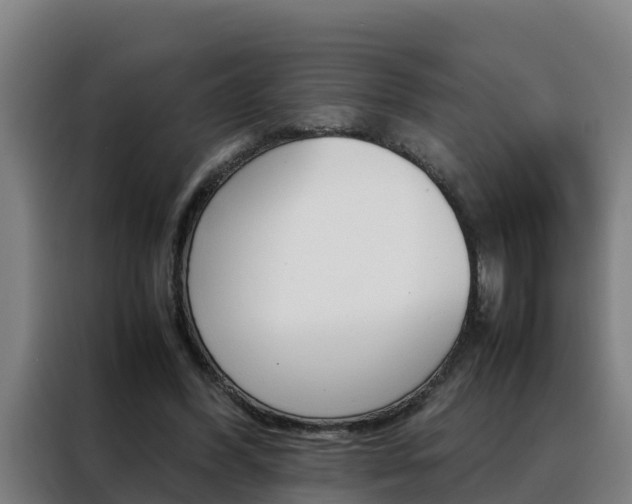 X0000088480396200705221005
