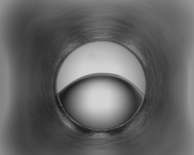 X0000088480397200705221005