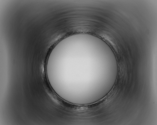 X0000088480398200705221005