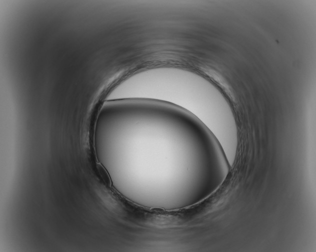 X0000088480399200705221005