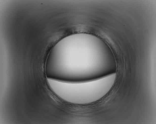 X0000088480401200705221005