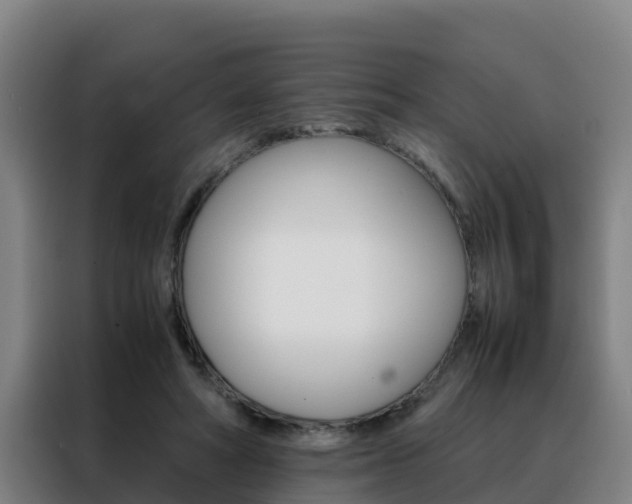 X0000088480402200705221005