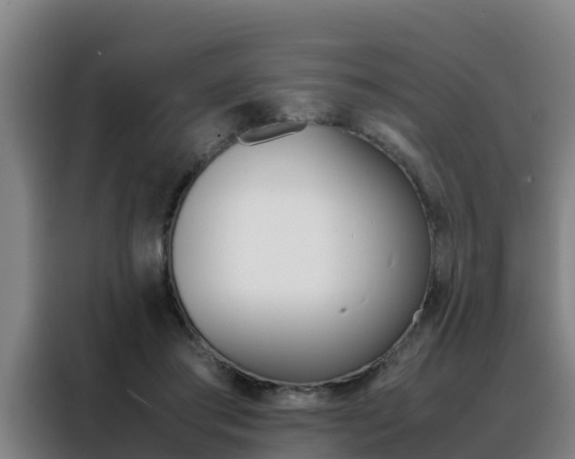 X0000088480405200705221005