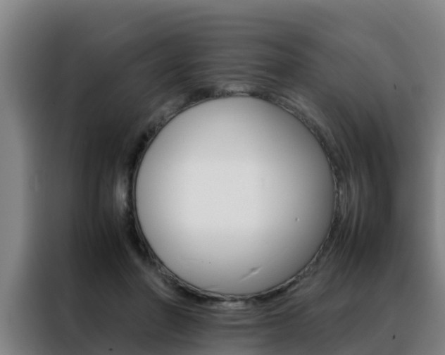 X0000088480406200705221005