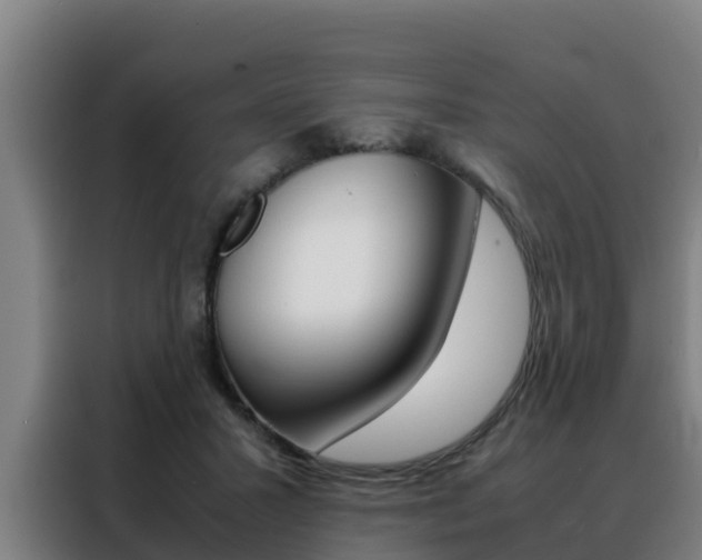 X0000088480407200705221005