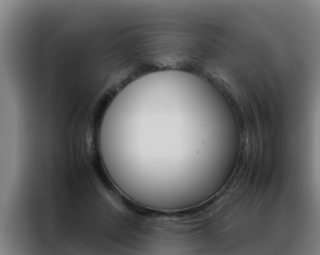 X0000088480408200705221005