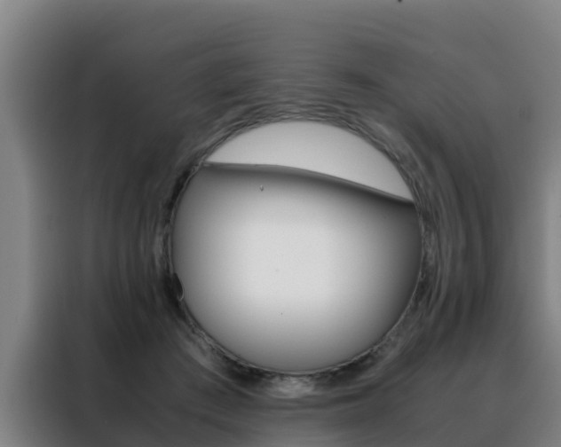 X0000088480409200705221005