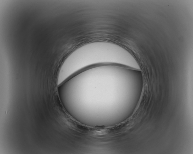 X0000088480411200705221005