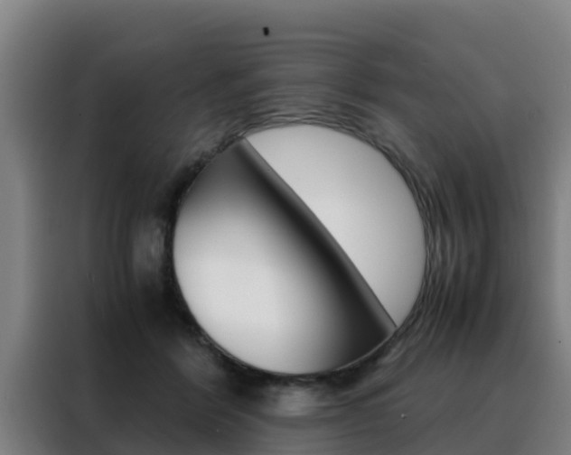 X0000088480412200705221005