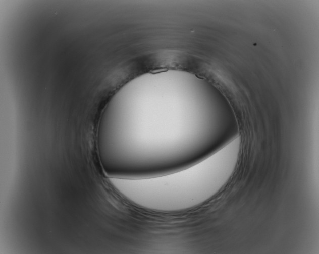 X0000088480413200705221005