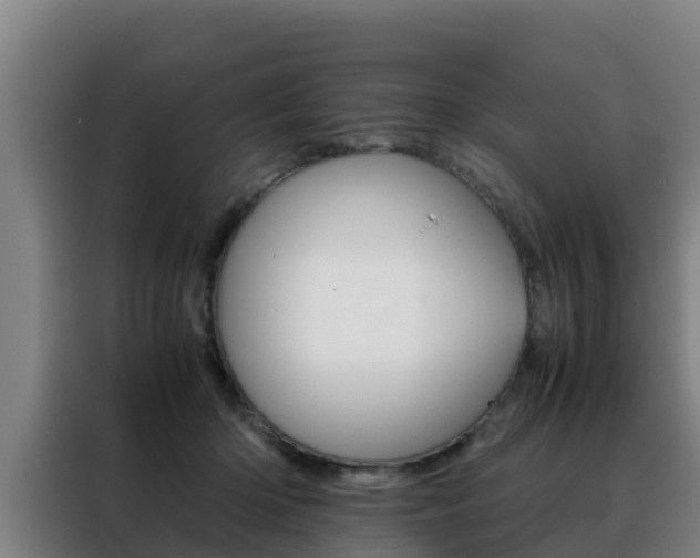 X0000088480414200705221005