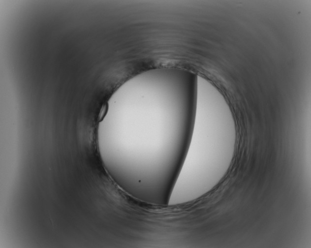 X0000088480417200705221005