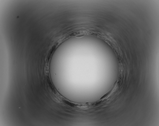X0000088480419200705221005