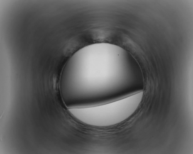 X0000088480420200705221005