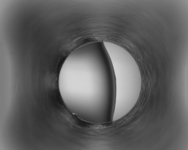 X0000088480421200705221005