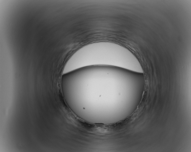 X0000088480423200705221005