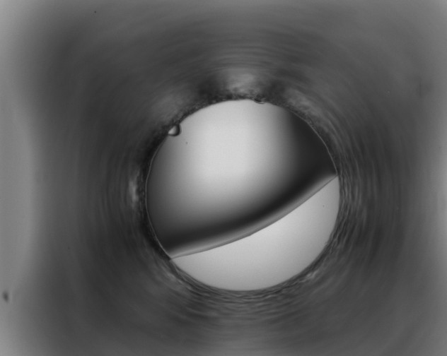 X0000088480424200705221005