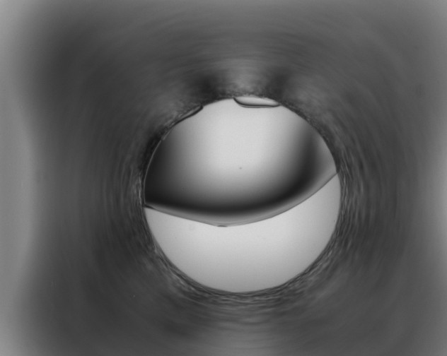 X0000088480425200705221005