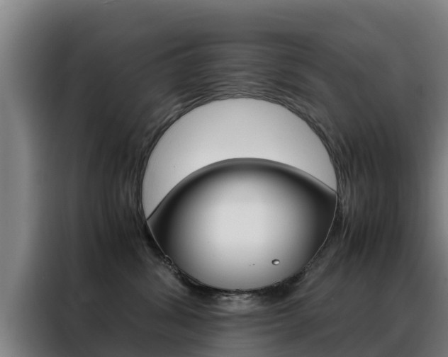 X0000088480428200705221005