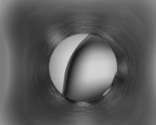 X0000088480429200705221005