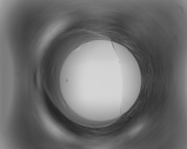 X0000088480431200705221005