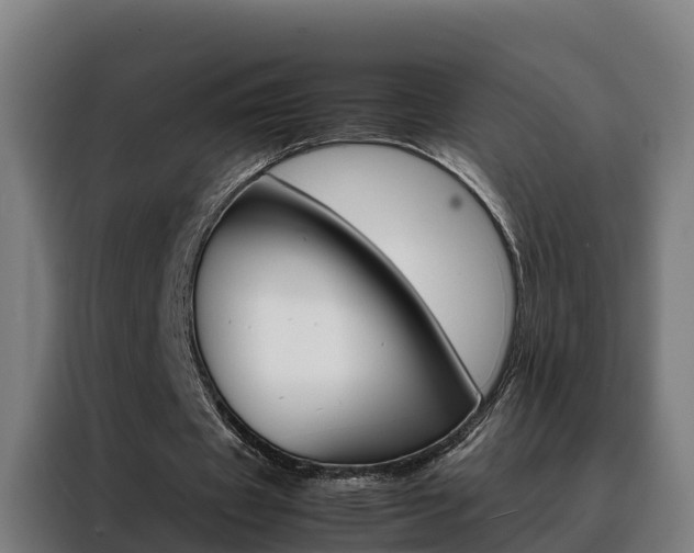 X0000088480433200705221004