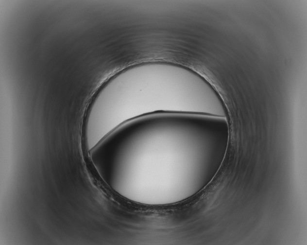 X0000088480434200705221004