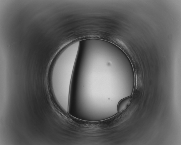 X0000088480435200705221004