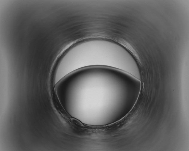 X0000088480436200705221004