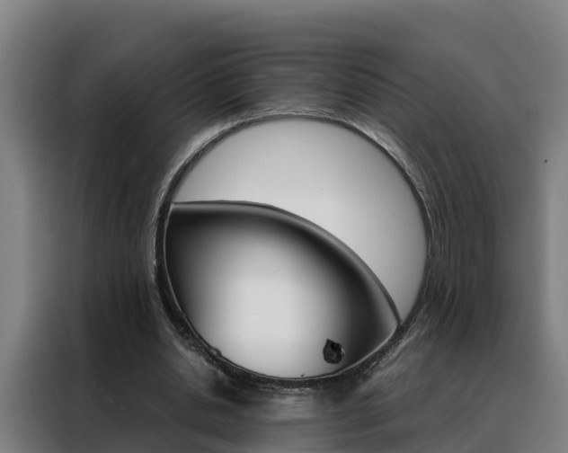 X0000088480438200705221004