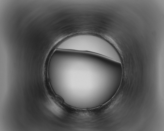 X0000088480439200705221004