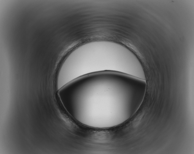 X0000088480446200705221004