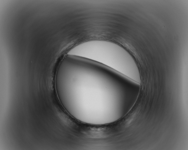 X0000088480450200705221004