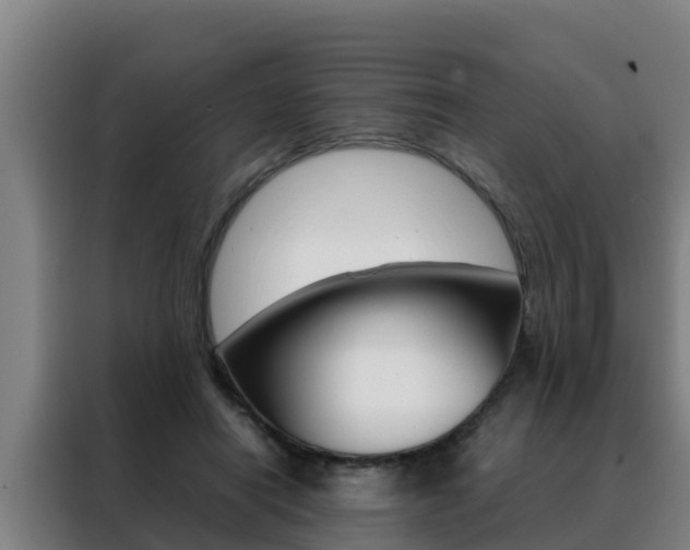 X0000088480454200705221004