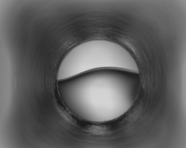 X0000088480455200705221004