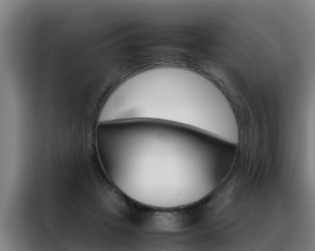 X0000088480457200705221004