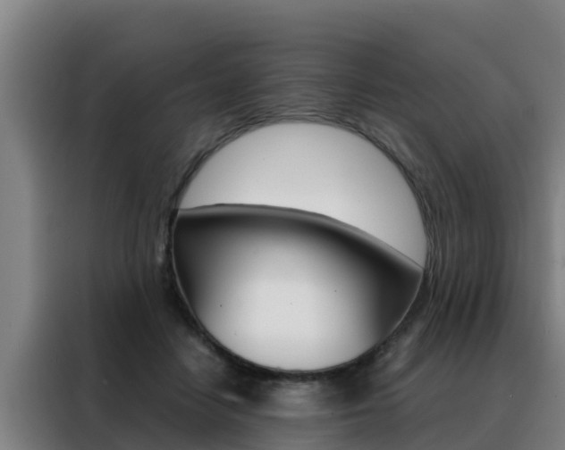 X0000088480458200705221004