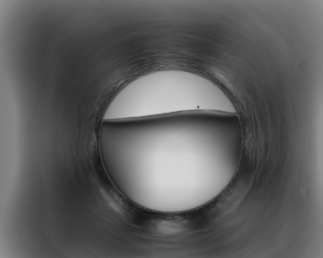 X0000088480459200705221004