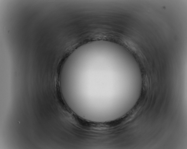 X0000088480463200705221005