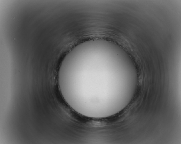 X0000088480464200705221005