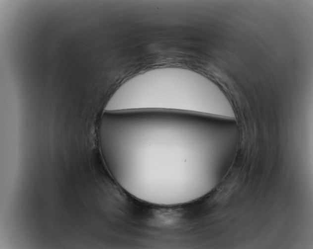 X0000088480465200705221005
