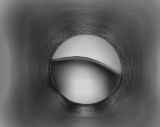 X0000088480466200705221005