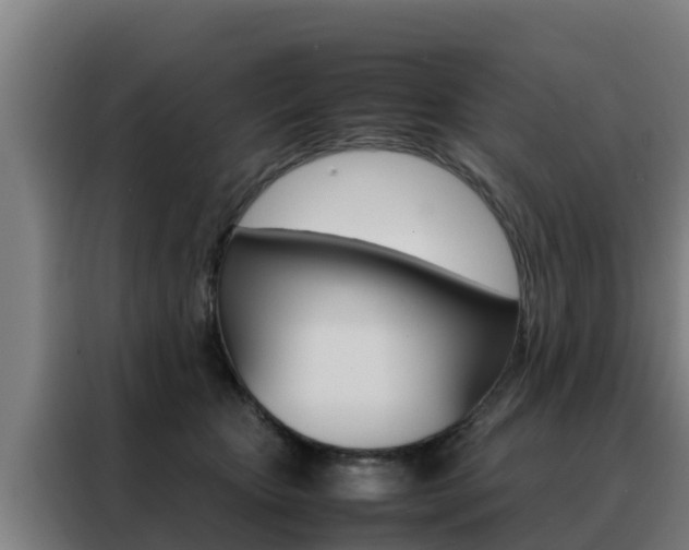 X0000088480467200705221005