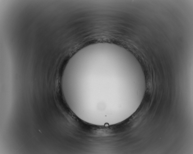 X0000088480468200705221005