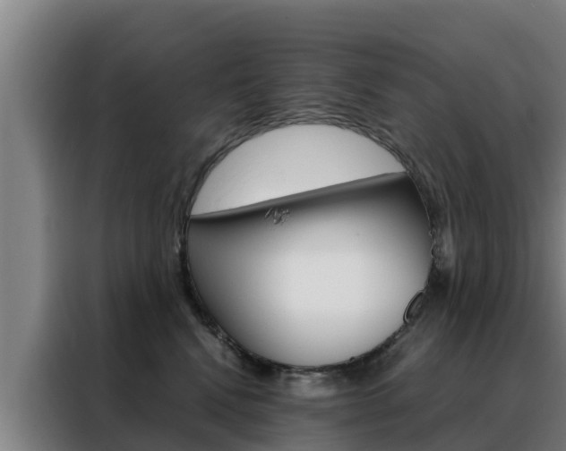 X0000088480472200705221005
