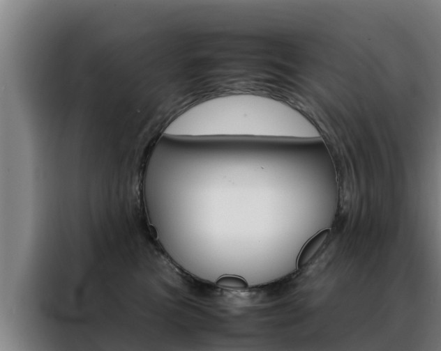 X0000088480473200705221005